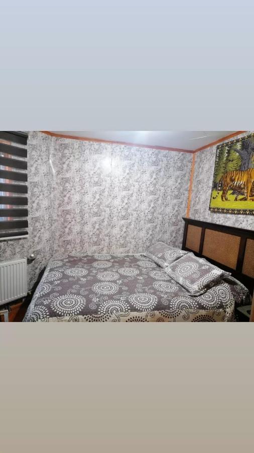 410 Apartment Punta Arenas